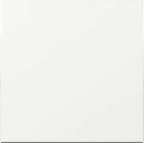 Gira Schalterwippe, Aus-Wechsel, Standard 55 reinweiß glänzend (329603)